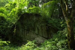 中関白家の没落の原因となった「藤原伊周」 歴史のミカタ